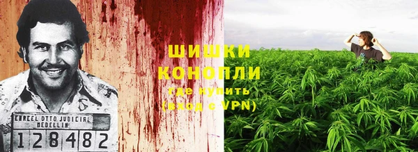 стаф Белокуриха