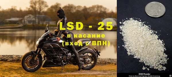 стаф Белокуриха