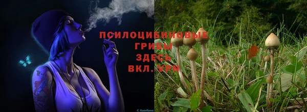 МДПВ Белоозёрский