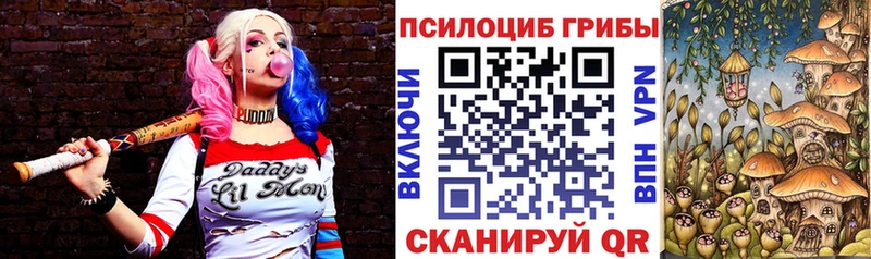 Галлюциногенные грибы Psilocybe  Кореновск 